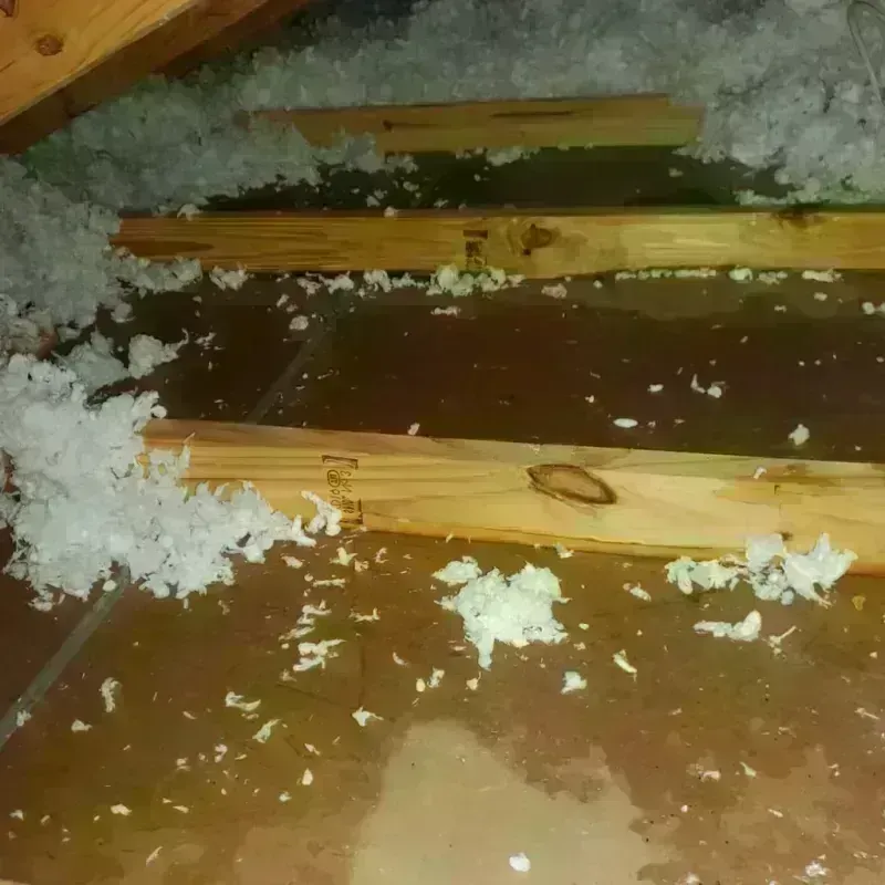 Attic Water Damage in Keyser, WV